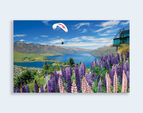 PCL 1070 - Sisson Postcard - Skyline Lupins