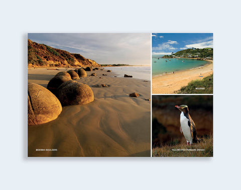 PCL 1089 - Sisson Postcard - Moeraki Medley