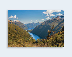PCL 1094 - Sisson Postcard - Doubtful Sound - Wilmot Pass