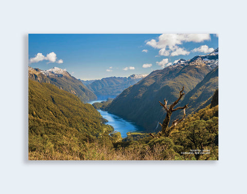PCL 1094 - Sisson Postcard - Doubtful Sound - Wilmot Pass