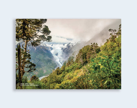 PCl 1129 - Sisson Postcard - Franz Josef Glacier Mist