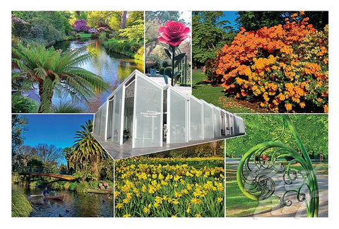 238 - Post Art Postcard - Botanical Gardens Composite
