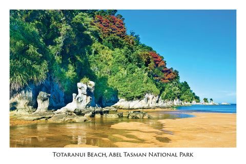 3 - Post Art Postcard - Totaranui Beach
