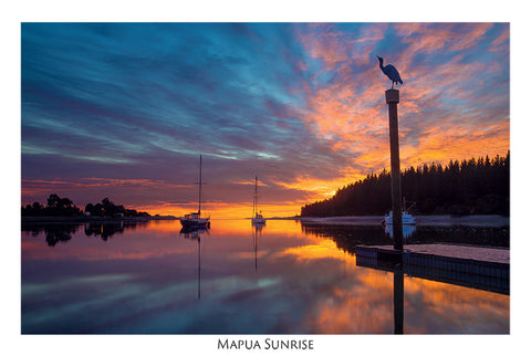507 - Post Art Postcard - Postcard - Mapua Sunrise