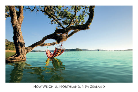 524 - Post Art Postcard - How we chill, Northland