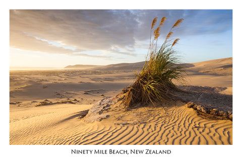 619 - Post Art Postcard - Ninety Mile Beach