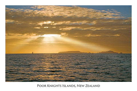 620 - Post Art Postcard - Poor Knights Islands