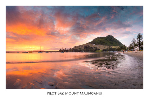 631 - Post Art Postcard - Pilot Bay, Mount Maunganui