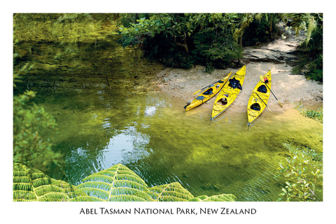 667 - Post Art Postcard - Sea Kayaks - Abel Tasman