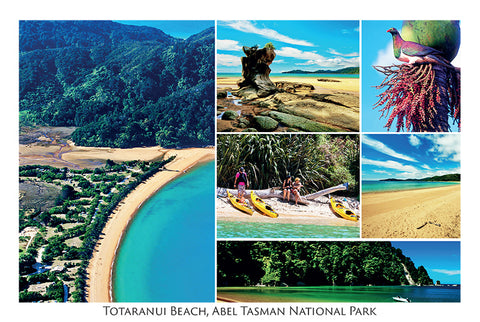 7 - Post Art Postcard - Totaranui Composite