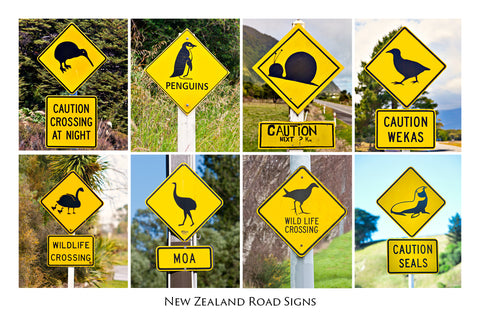 820 - Post Art Postcard - Wildlife Rd Conservation Signs
