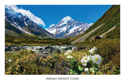 93 - Post Art Postcard - Mt Cook with Lily Horizontal