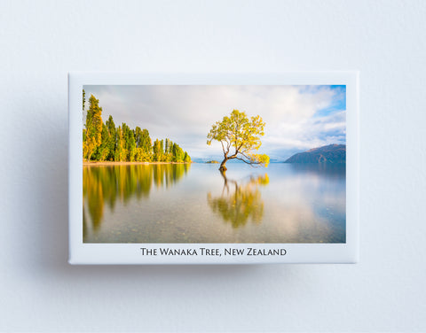 FM0007 - Post Art Magnet - The Wanaka Tree