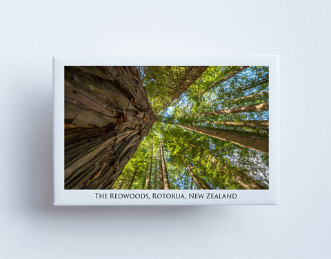 FM0044 - Post Art Magnet - Redwoods