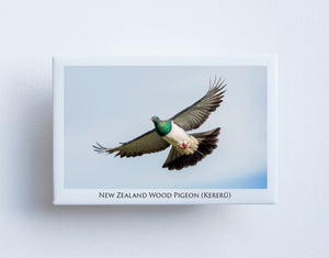FM0086 - Post Art Magnet - Kereru