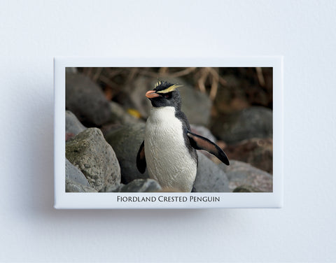 FM0103 - Post Art Magnet - Fiordland Crested Penguin