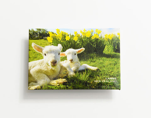 MTS1040 - Sisson Magnet - Lambs & Daffodils