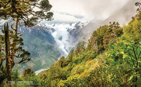 PCl1129 - Sisson Postcard - Franz Josef Glacier Mist