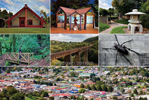 N58 - Post Art Postcard - Waitomo District
